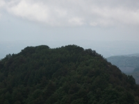 Monte Rinatu